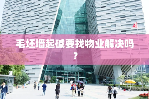 毛坯墙起碱要找物业解决吗？