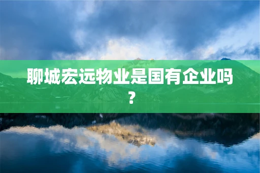 聊城宏远物业是国有企业吗？