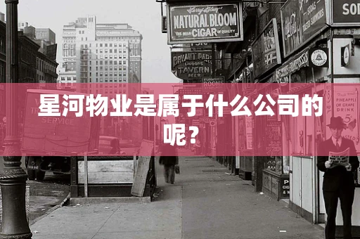 星河物业是属于什么公司的呢？