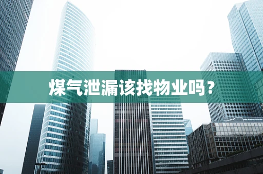 煤气泄漏该找物业吗？