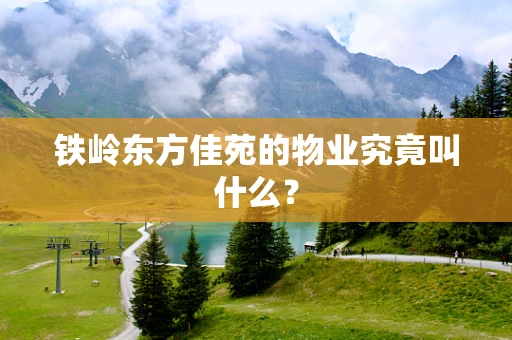 铁岭东方佳苑的物业究竟叫什么？