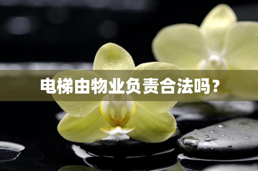 电梯由物业负责合法吗？