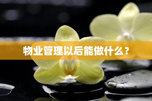 物业管理以后能做什么？