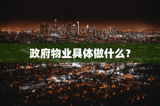 政府物业具体做什么？