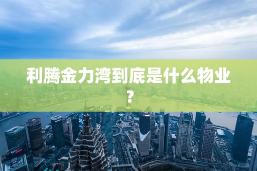 利腾金力湾到底是什么物业？