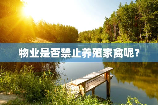 物业是否禁止养殖家禽呢？