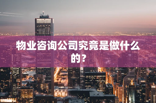 物业咨询公司究竟是做什么的？