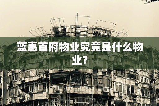 蓝惠首府物业究竟是什么物业？