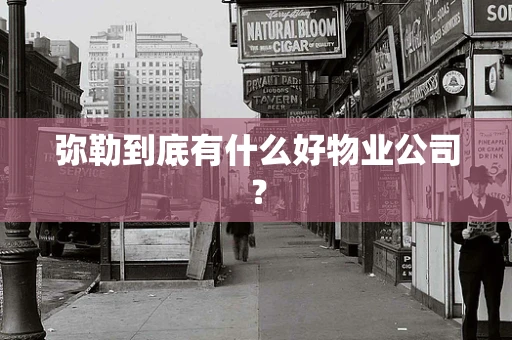 弥勒到底有什么好物业公司？
