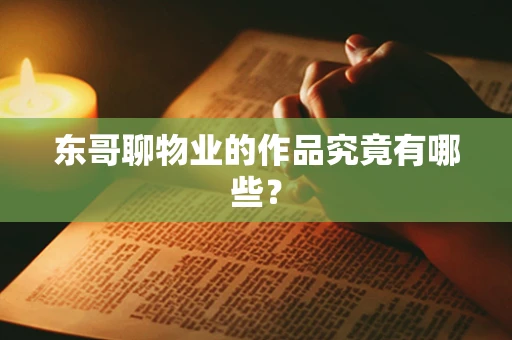 东哥聊物业的作品究竟有哪些？