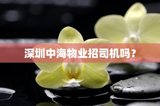 深圳中海物业招司机吗？