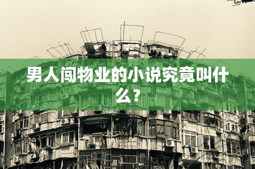 男人闯物业的小说究竟叫什么？