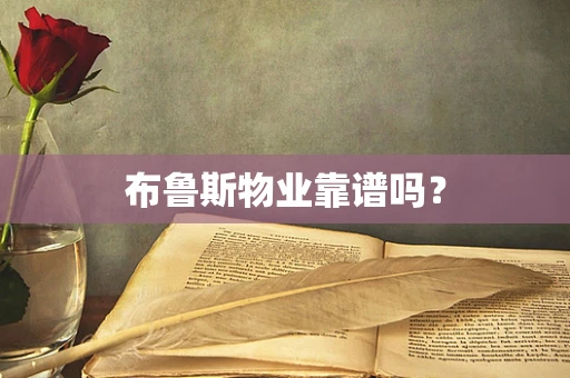 布鲁斯物业靠谱吗？