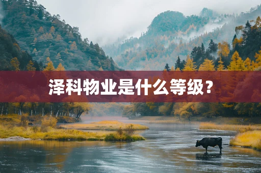 泽科物业是什么等级？