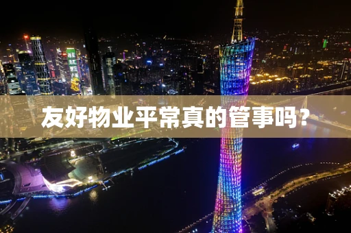 友好物业平常真的管事吗？