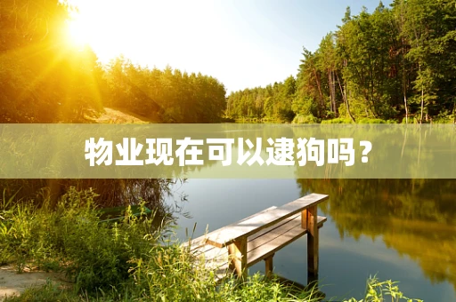 物业现在可以逮狗吗？
