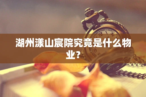 湖州漾山宸院究竟是什么物业？