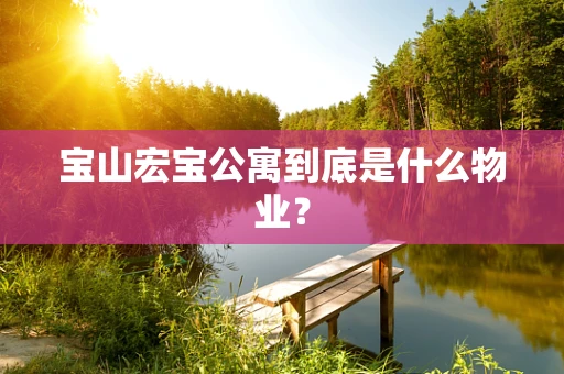 宝山宏宝公寓到底是什么物业？