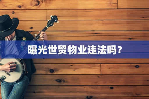 曝光世贸物业违法吗？