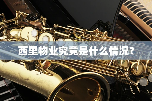 西里物业究竟是什么情况？