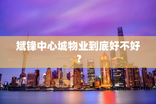 斌锋中心城物业到底好不好？