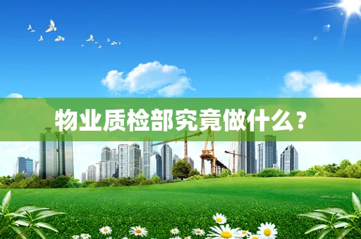 物业质检部究竟做什么？