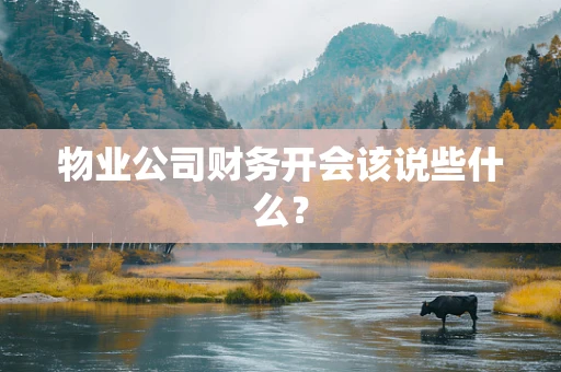 物业公司财务开会该说些什么？