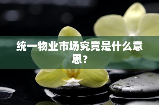 统一物业市场究竟是什么意思？