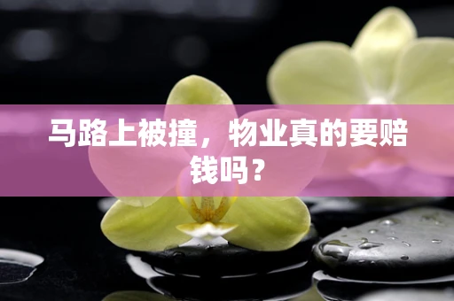 马路上被撞，物业真的要赔钱吗？