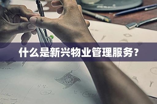 什么是新兴物业管理服务？