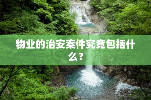 物业的治安案件究竟包括什么？