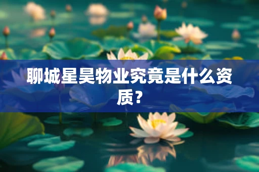 聊城星昊物业究竟是什么资质？
