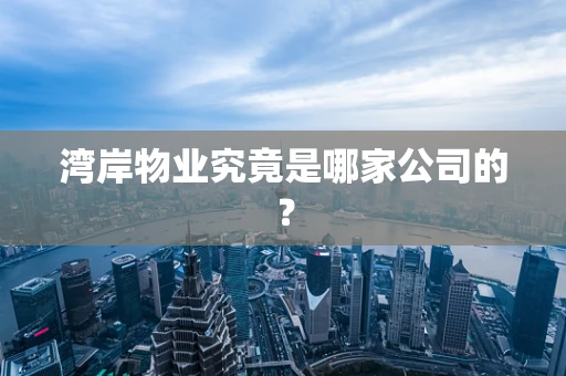 湾岸物业究竟是哪家公司的？