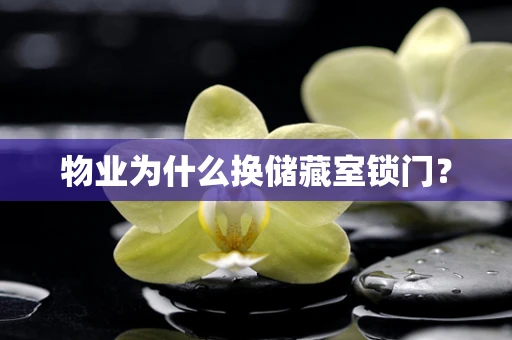 物业为什么换储藏室锁门？