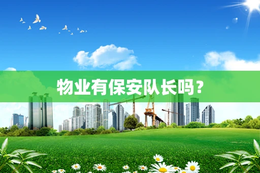 物业有保安队长吗？
