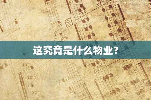 这究竟是什么物业？