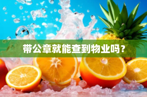 带公章就能查到物业吗？