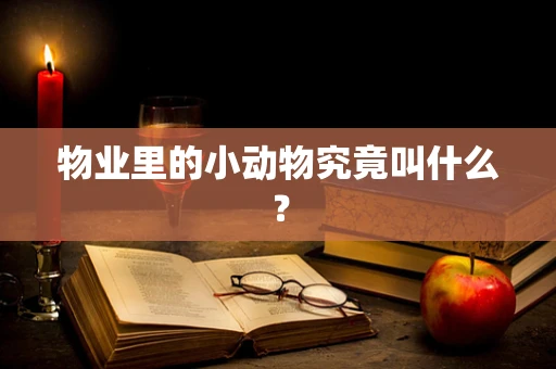 物业里的小动物究竟叫什么？
