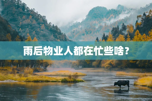 雨后物业人都在忙些啥？