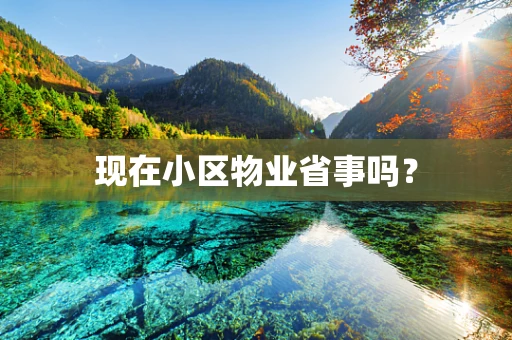 现在小区物业省事吗？