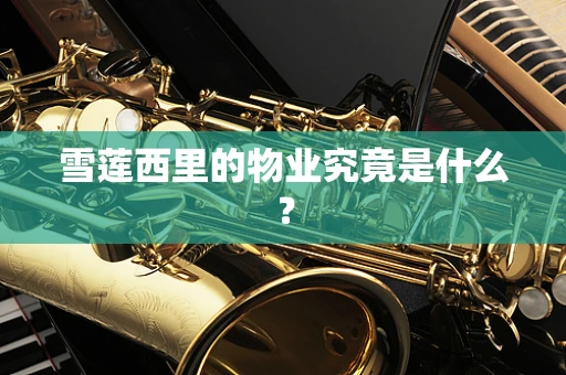 雪莲西里的物业究竟是什么？