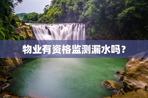 物业有资格监测漏水吗？