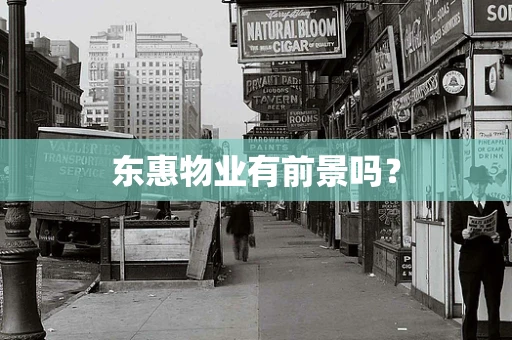 东惠物业有前景吗？