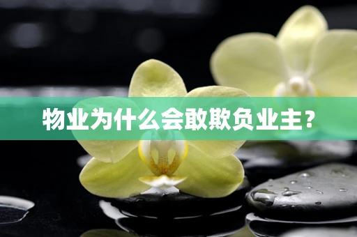 物业为什么会敢欺负业主？