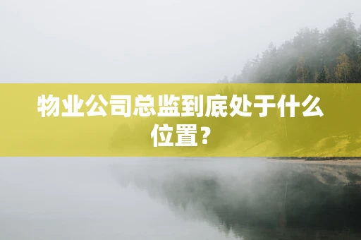 物业公司总监到底处于什么位置？
