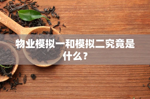 物业模拟一和模拟二究竟是什么？