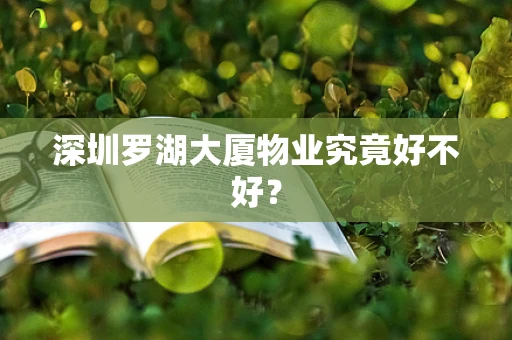 深圳罗湖大厦物业究竟好不好？