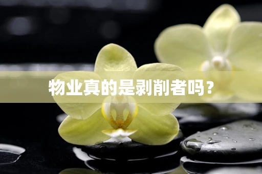 物业真的是剥削者吗？