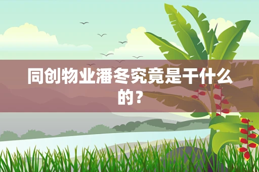 同创物业潘冬究竟是干什么的？
