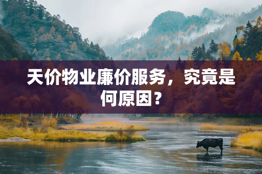 天价物业廉价服务，究竟是何原因？
